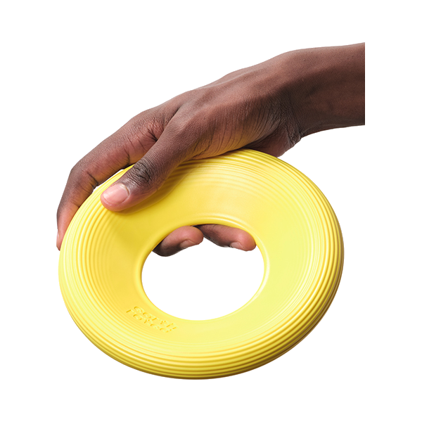 Earth Rated Fly Toy - dysk