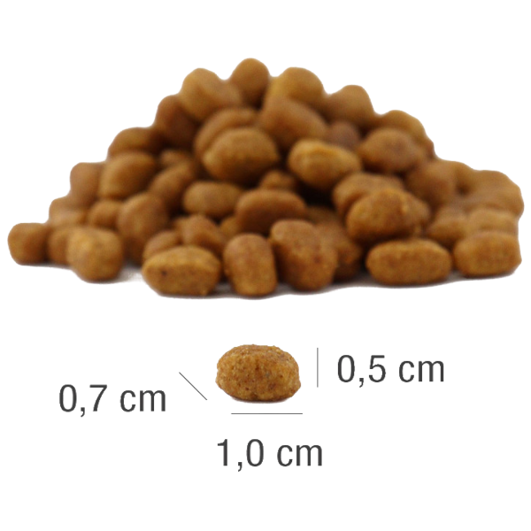 PLATINUM MeatCrisp Adult Fish