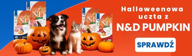 Halloweenowa uczta dla kota z N&D Pumpkin