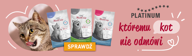 Chrupiące, suche karmy PLATINUM dla kotów
